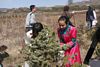 tn_Sino-American Tree Planting plus Banmudi 008
