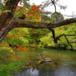 Five coloured lake (Goshikinuma) at Urabandai in Fukushima in autumn