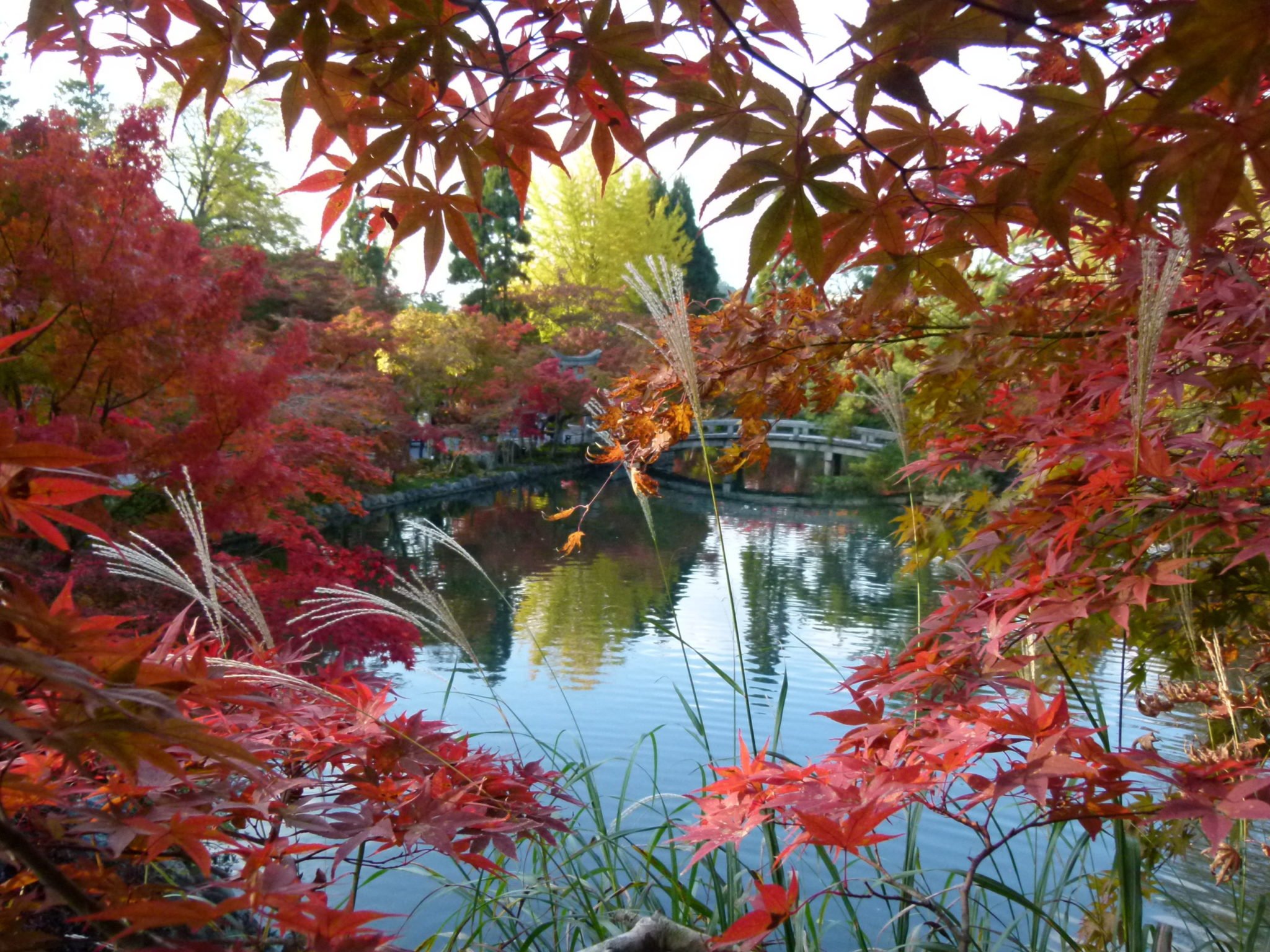 autumn-Eikan-do