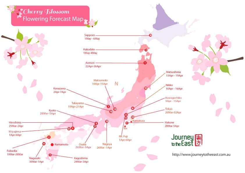Cherry Blossom forecast Map