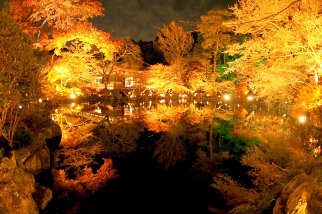 Autumn light-up