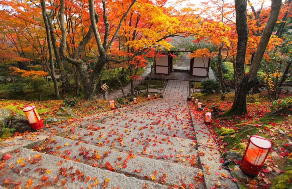 Jojakkoji temple in Sagano Kyoto