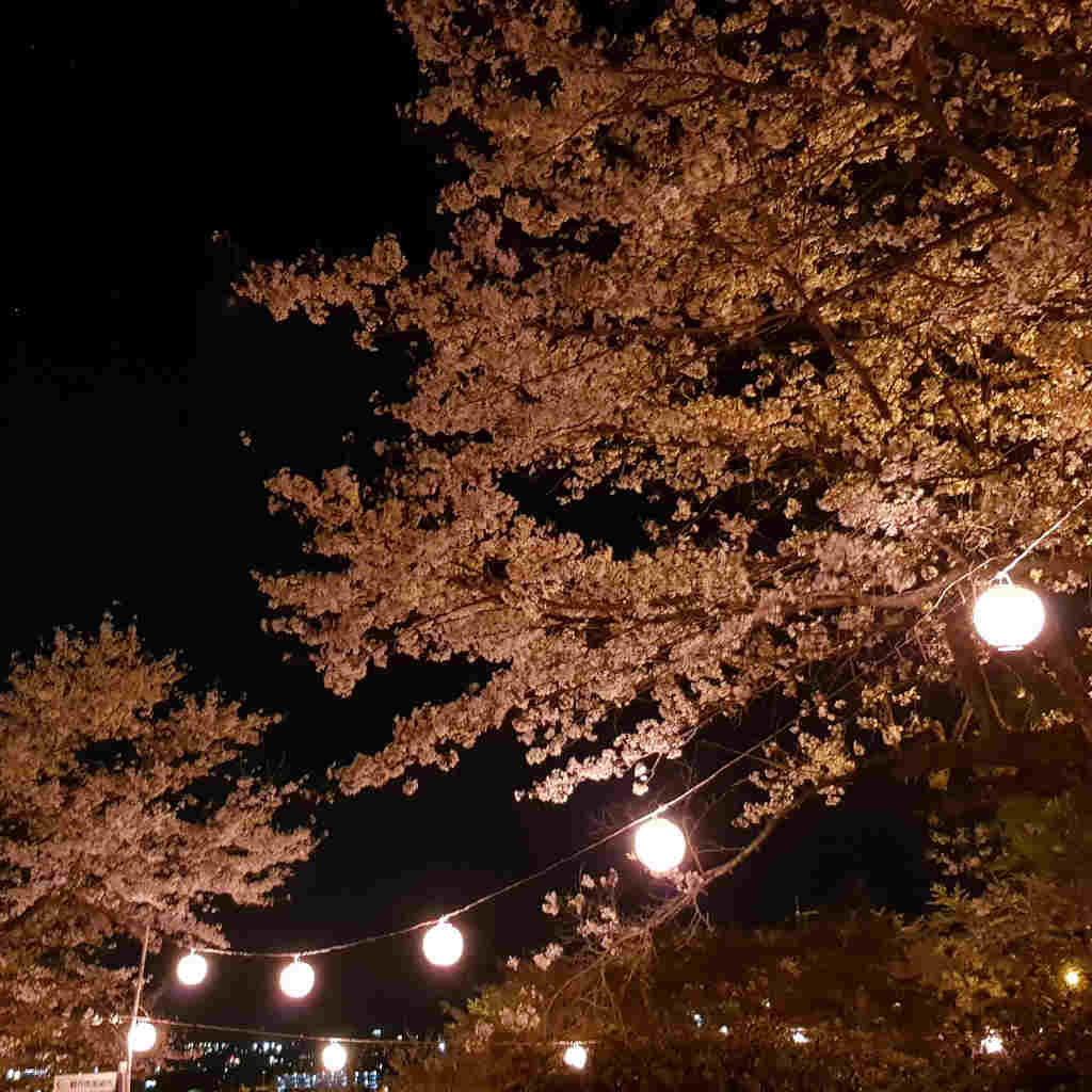 night view