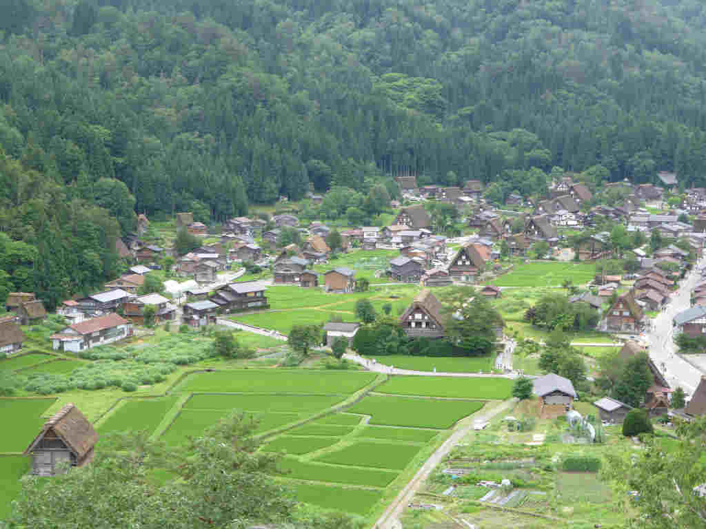 P1010049