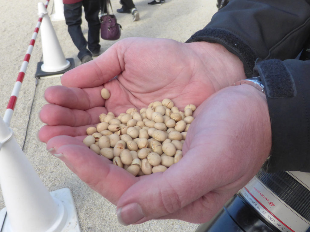 Setsubun Beans Heian Shrine P1040001