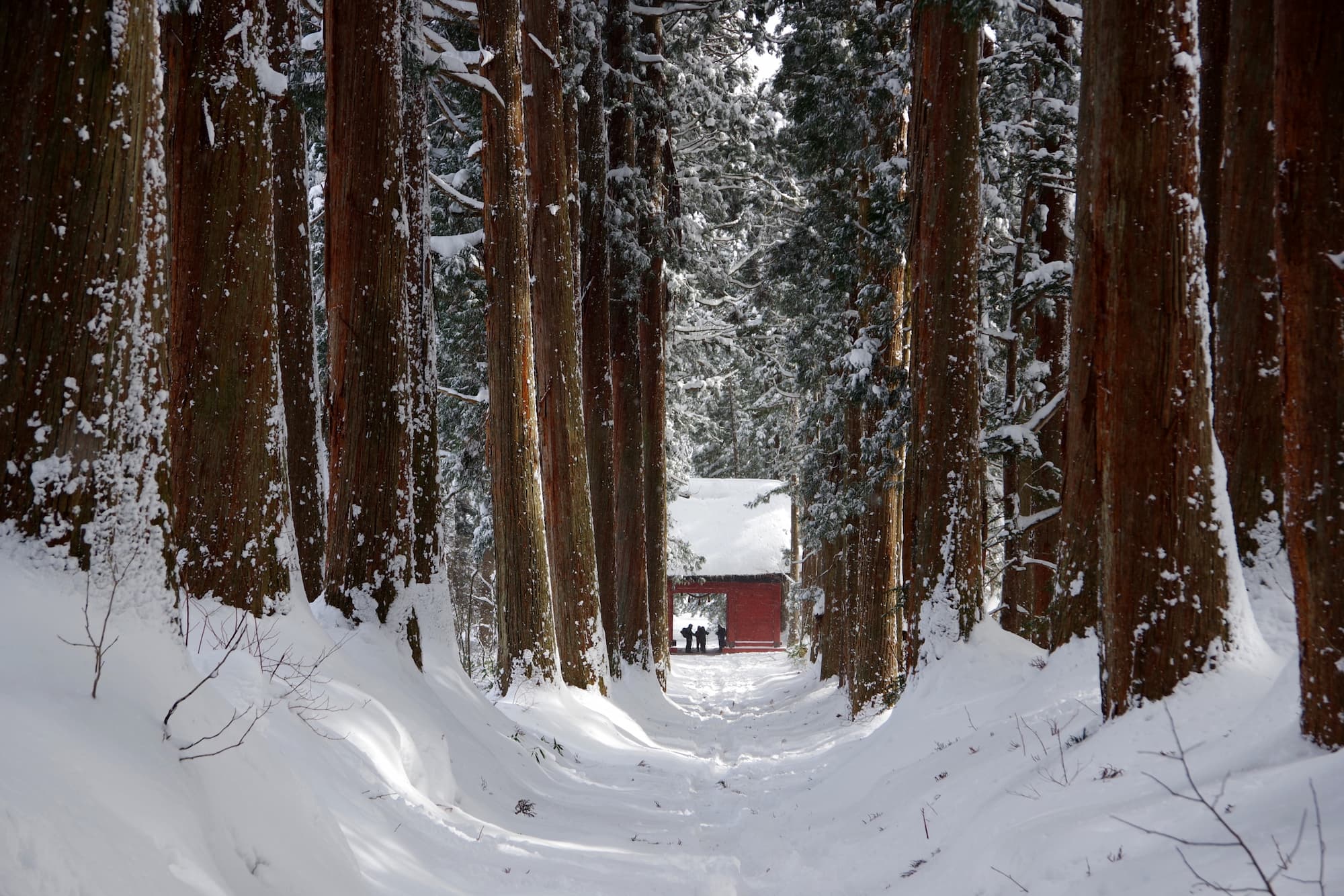 Togakushi Shrine in Nagano in snow