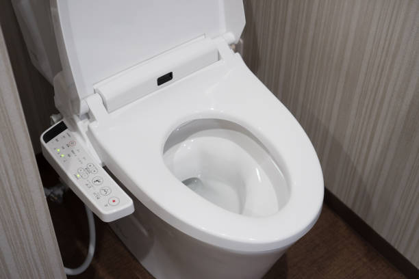 toilet 3
