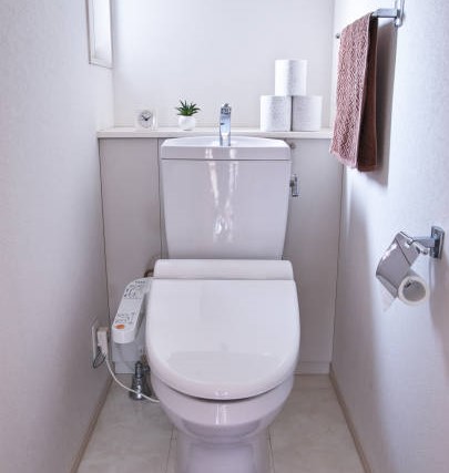 toilet